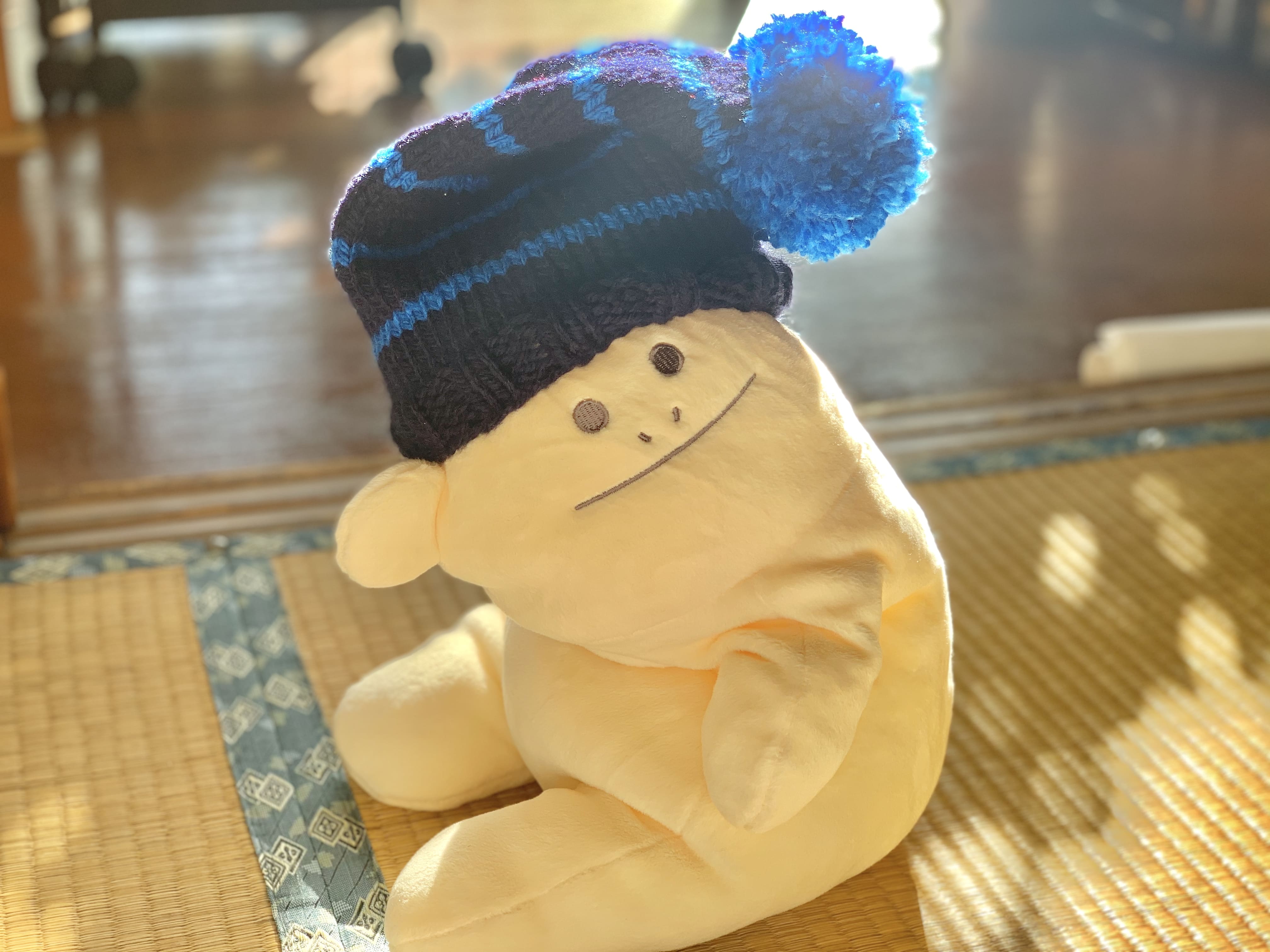 青い手作りニット帽を被ったロリスの写真